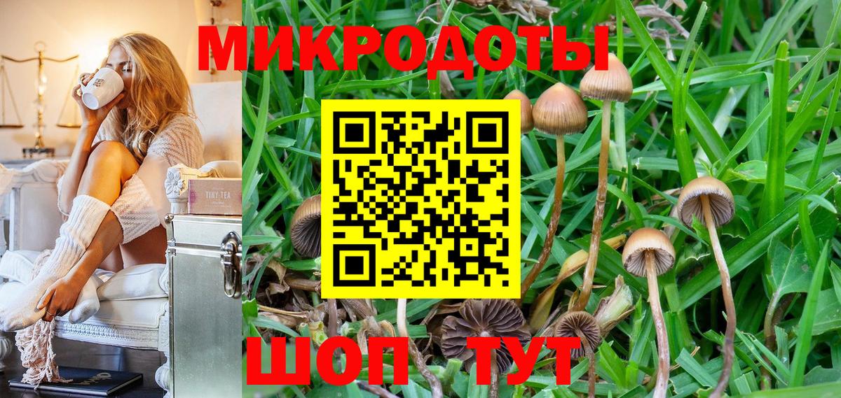 как найти наркотики  Вход с VPN  Бузулук  Галлюциногенные грибы Magic Shrooms 